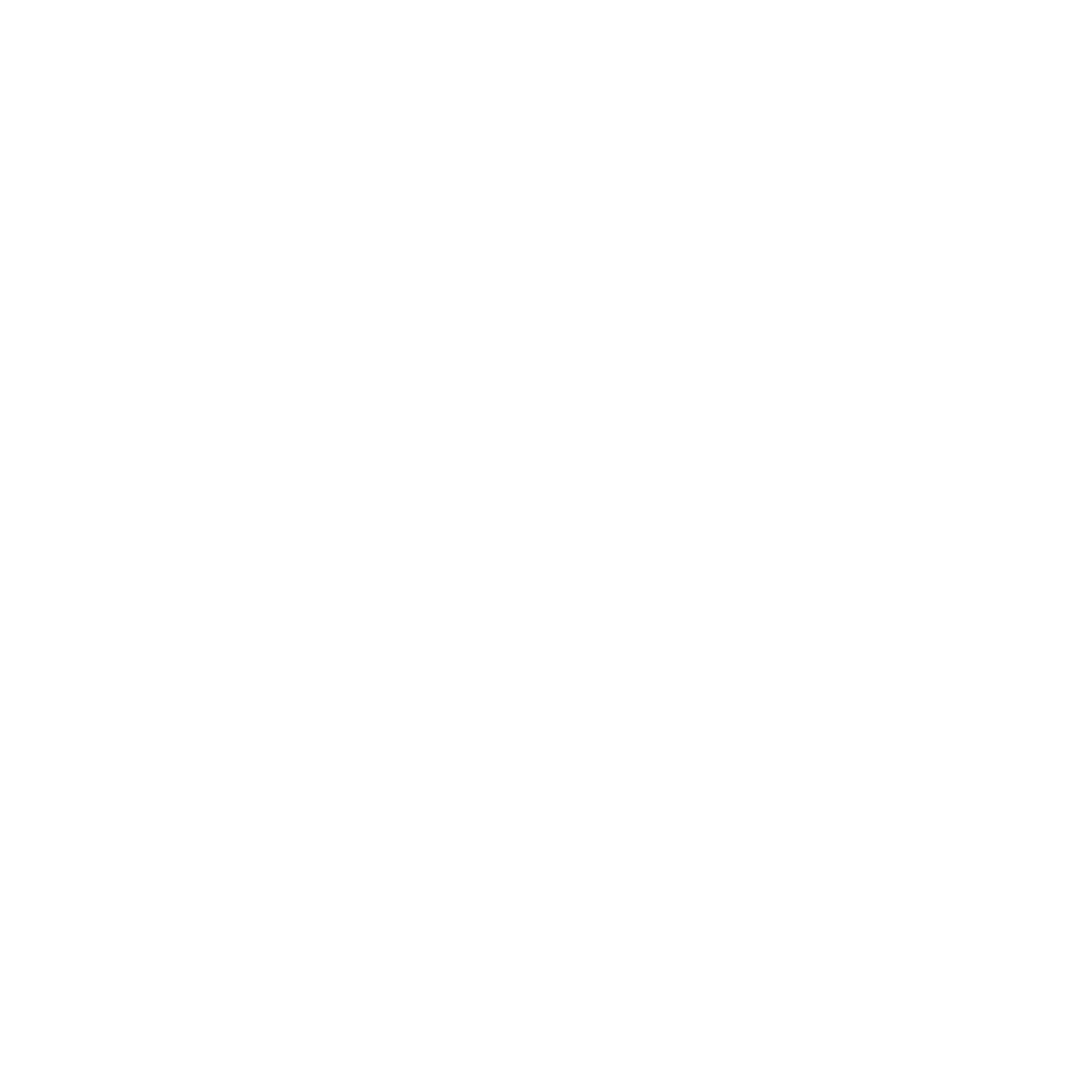 noun_Megaphone_1492709