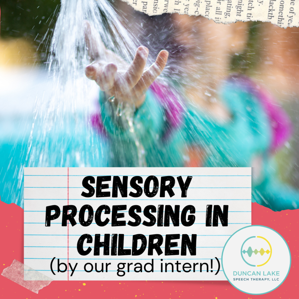 Sensory Processing In Children (a Graduate Intern Post!) - Duncan Lake ...