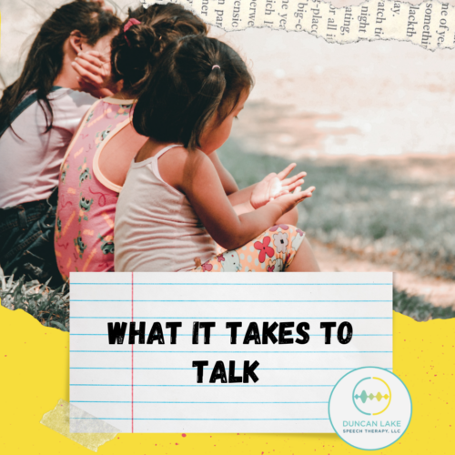 What It Takes To Talk - Duncan Lake Speech Therapy