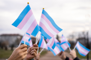 hands holding small transgender flags