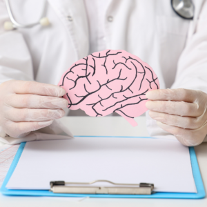 Clinician holding a pink paper brain model, representing cognitive and language effects of concussion.